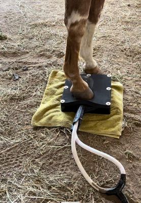 Hoof Box for EVO, EDGE, PRO, GEMINI