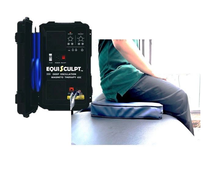 PEMF Cushion for EVO, EDGE, GEMINI