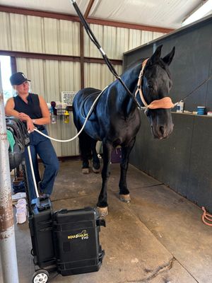 X WINGS For EVO, EDGE, GEMINI