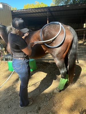 X WINGS For EVO, EDGE, GEMINI