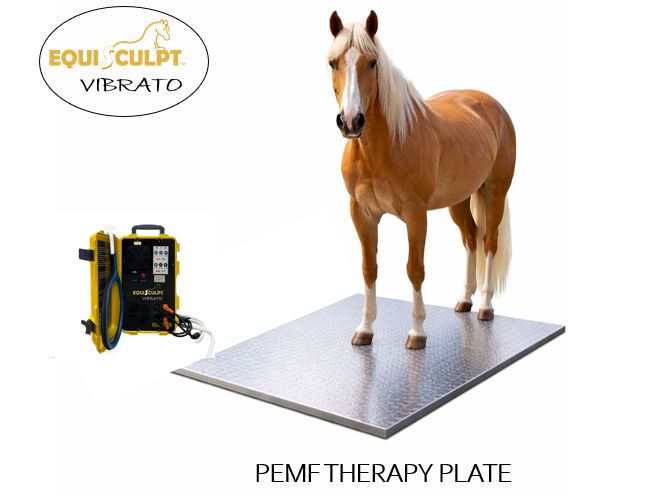 *NEW* VIBRATO PEMF Therapy Plate