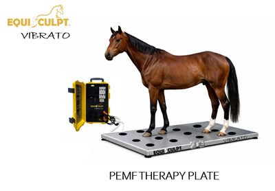 *NEW* VIBRATO PEMF Therapy Plate