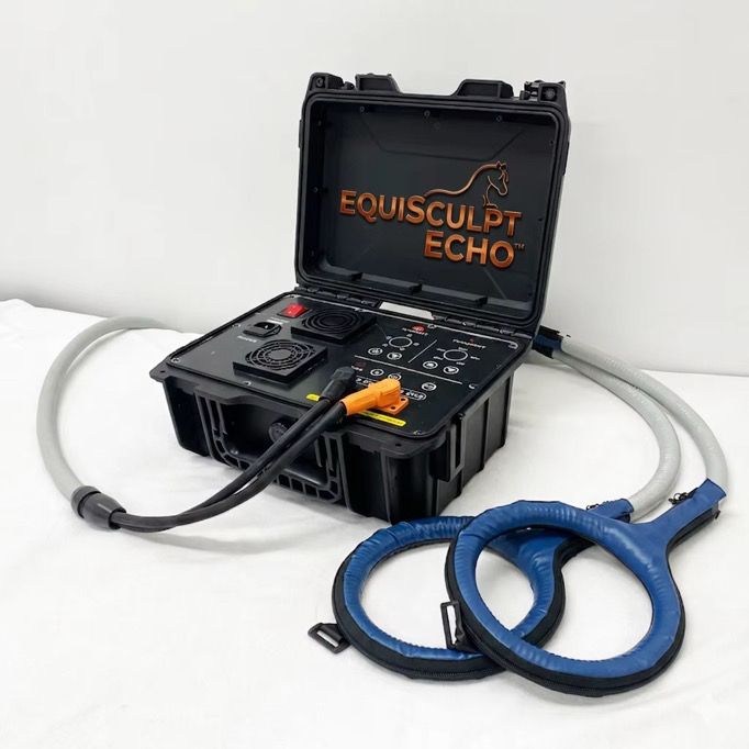 SUPER VALUE! The ECHO. Light weight at just 12 lbs