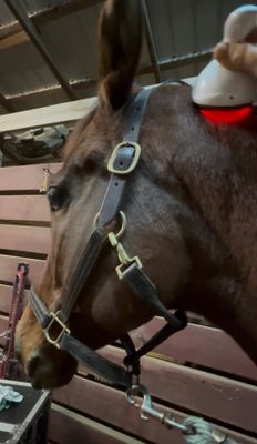 *NEW* The NEO Cordless PEMF Plus Infrared