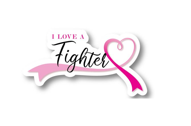 Cancer Awareness Bumper Stickers - Large, Option: I Love a Fighter