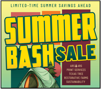 SUMMER BASH SALE!