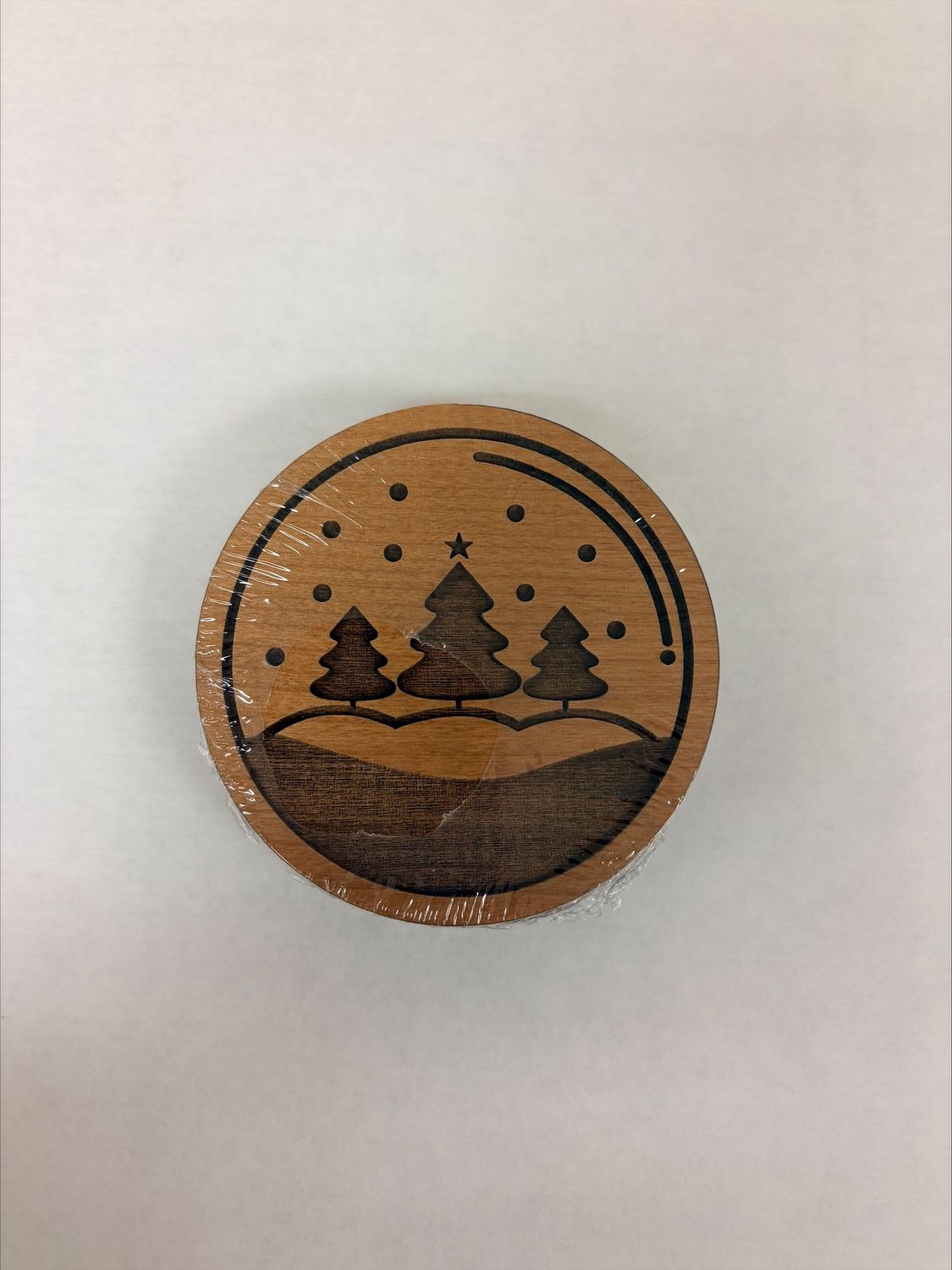 Snowglobe Coasters