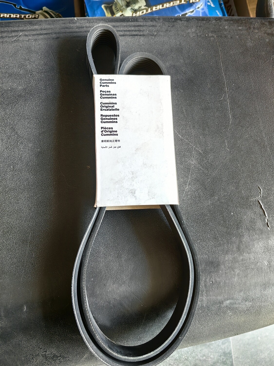 Fan Belt 5260381 / 8PK1575