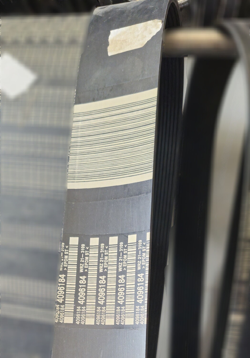 Fan Belt 4096184