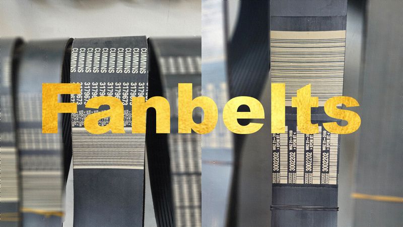 Fan Belts