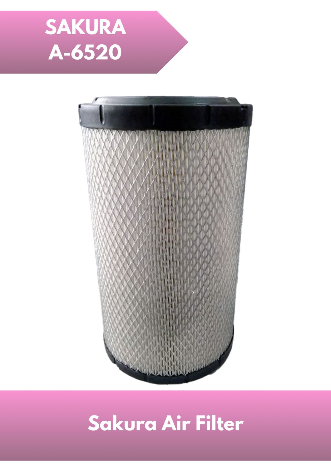 Air Filter A-6520
