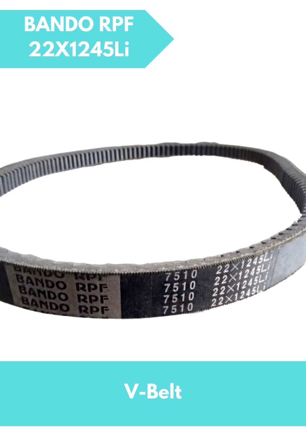 V-Belt 22X1245Li