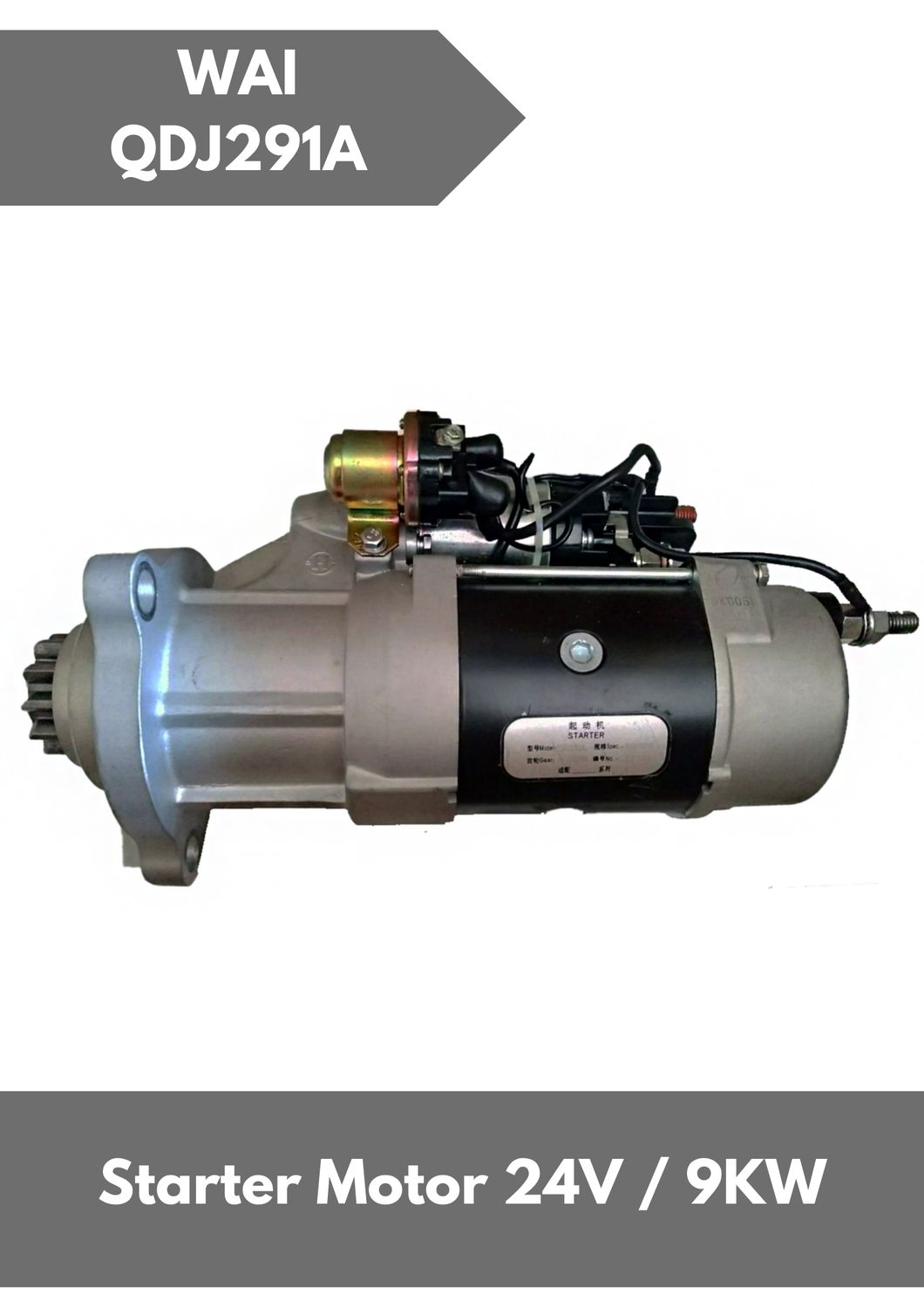 Starter Motor QDJ291A