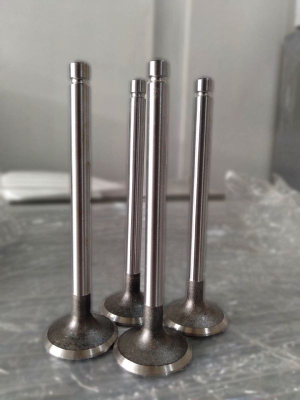 YANGDONG Exhaust Valve YD480-03014