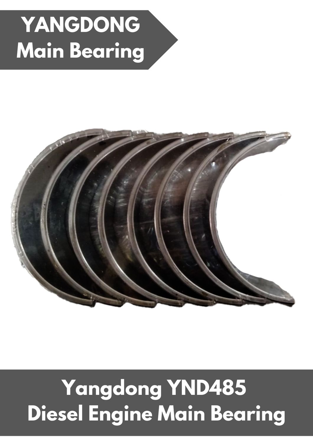 YANGDONG YND485 Main Bearing