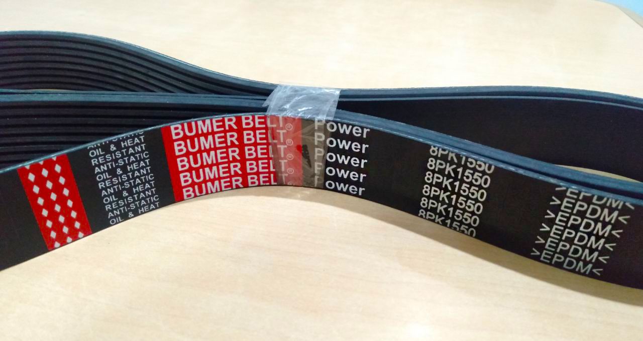 Fan Belt 8PK1550