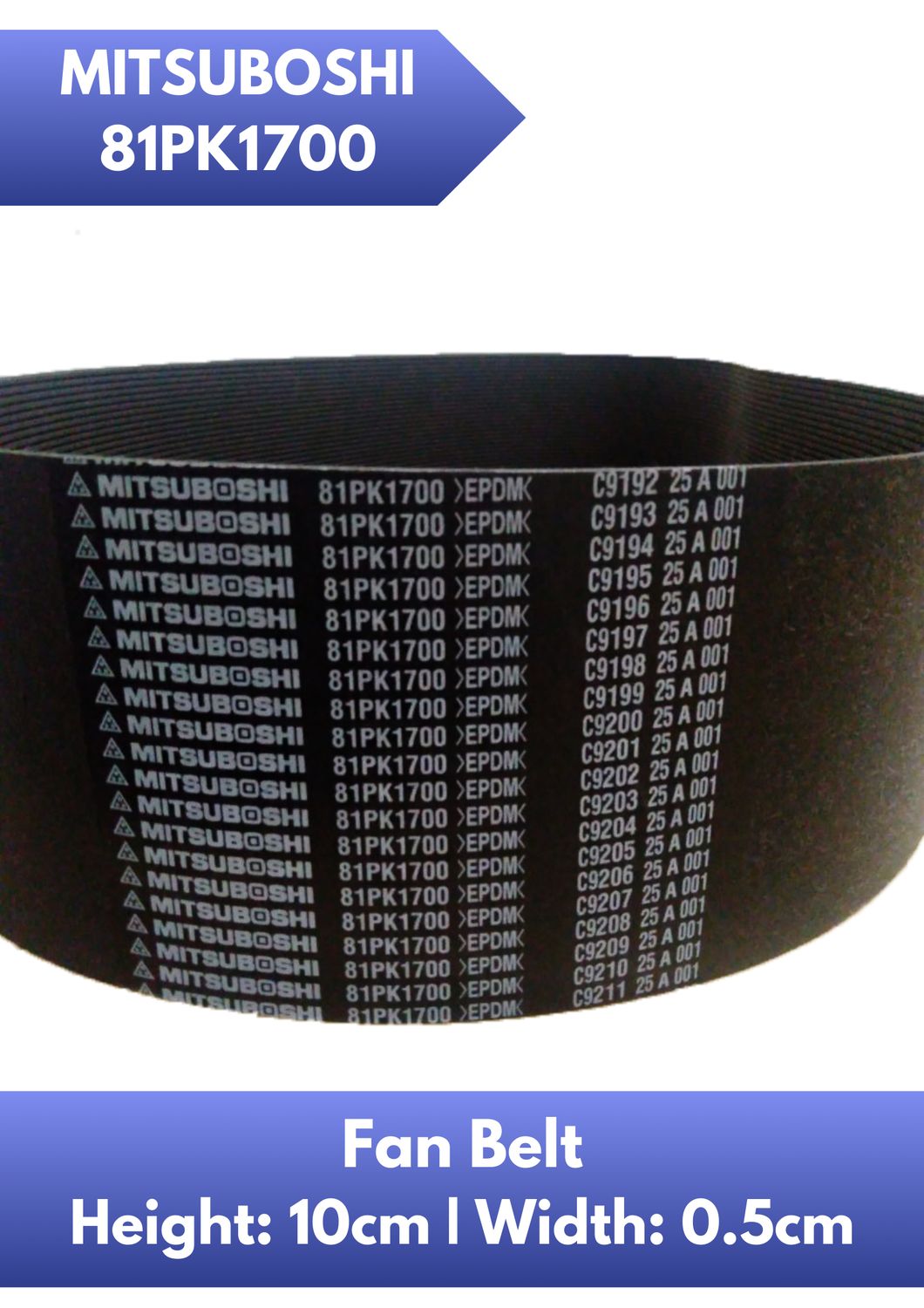 Fan Belt 81PK1700
