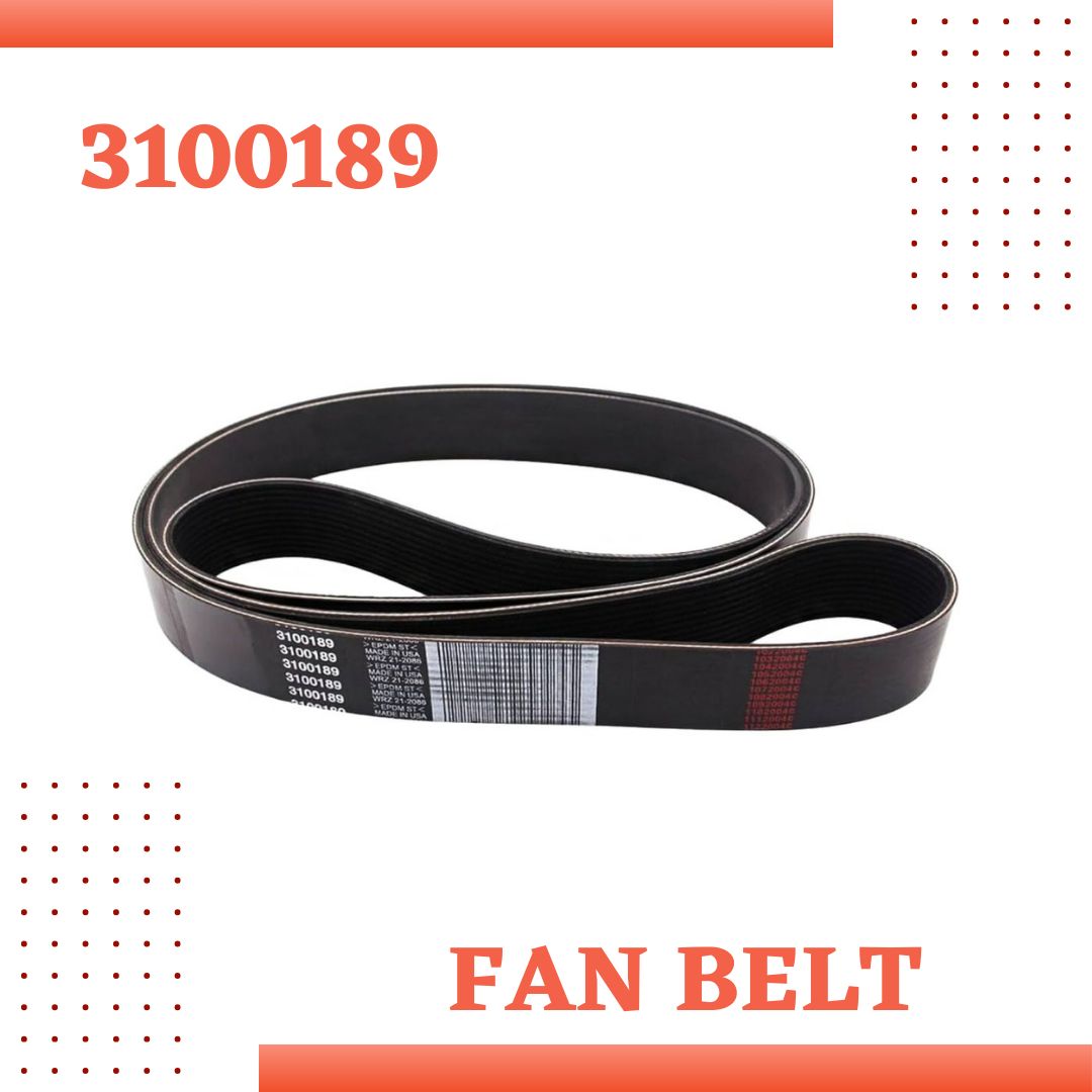 Fan Belt 3100189