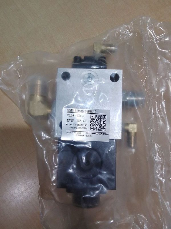 Oil Control Valve 3076341
