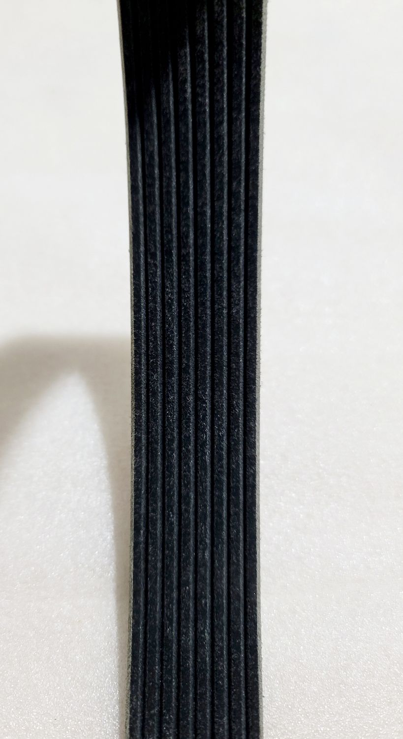 Fan Belt 8PK782 / 6126000090646