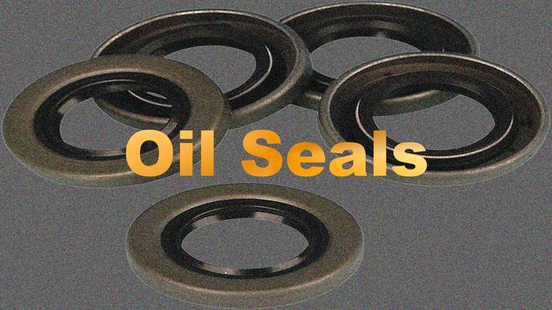 Oil Seals