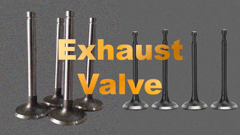 Exhaust Valve / Valves