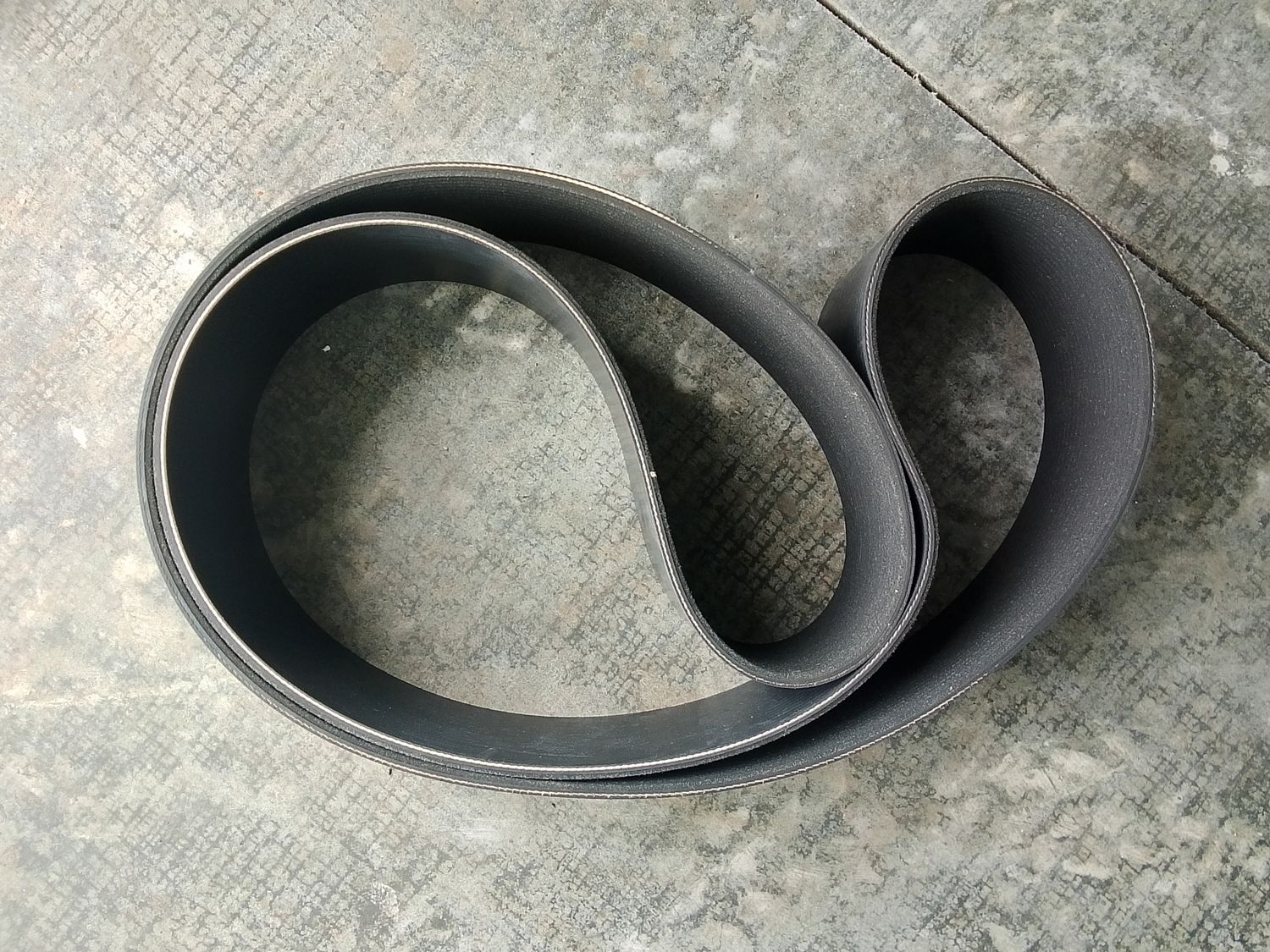 Fan Belt 3629256