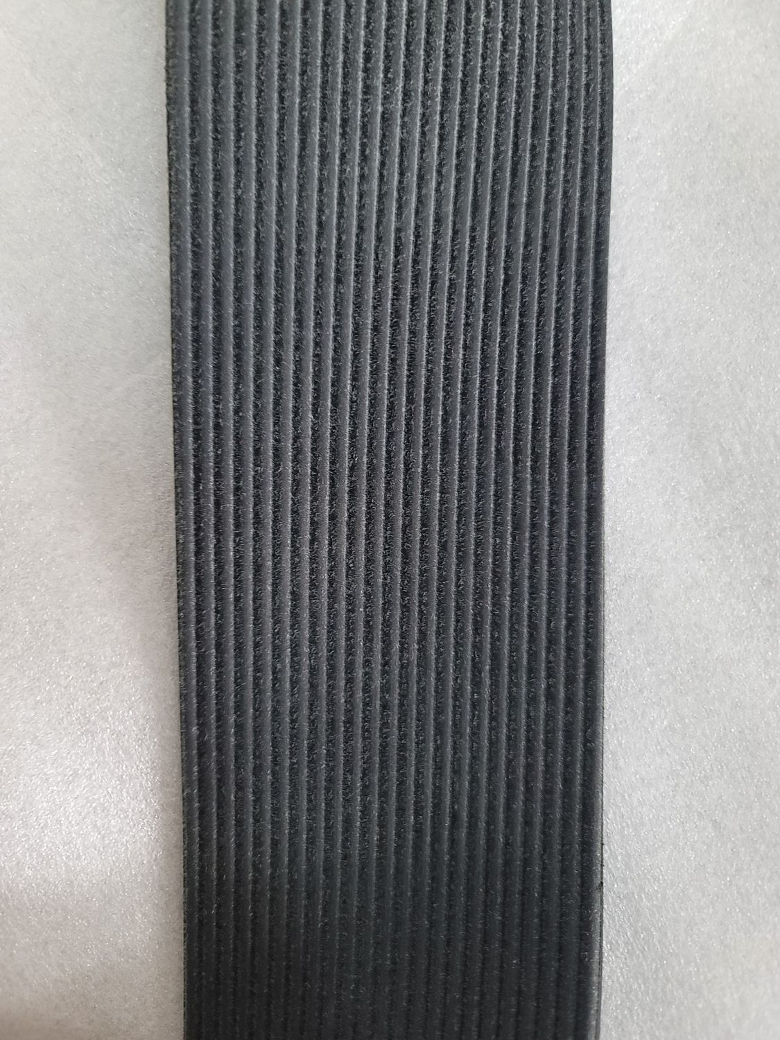 Fan Belt 3003343