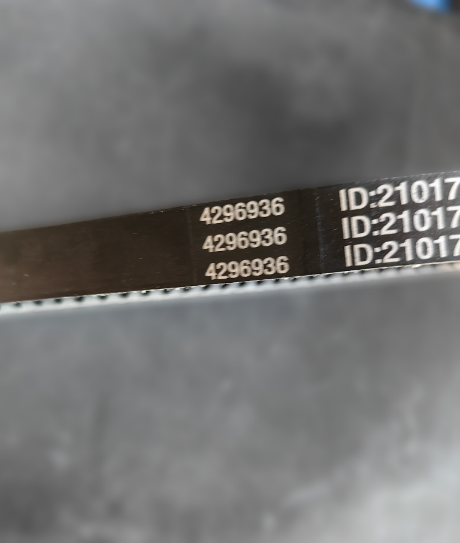Fan Belt 4296936