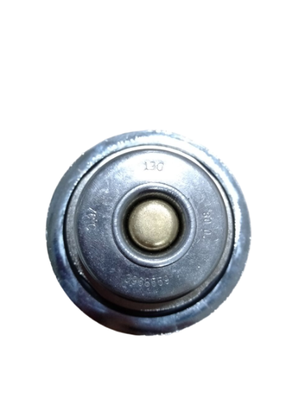 Thermostat 3968559 DFT