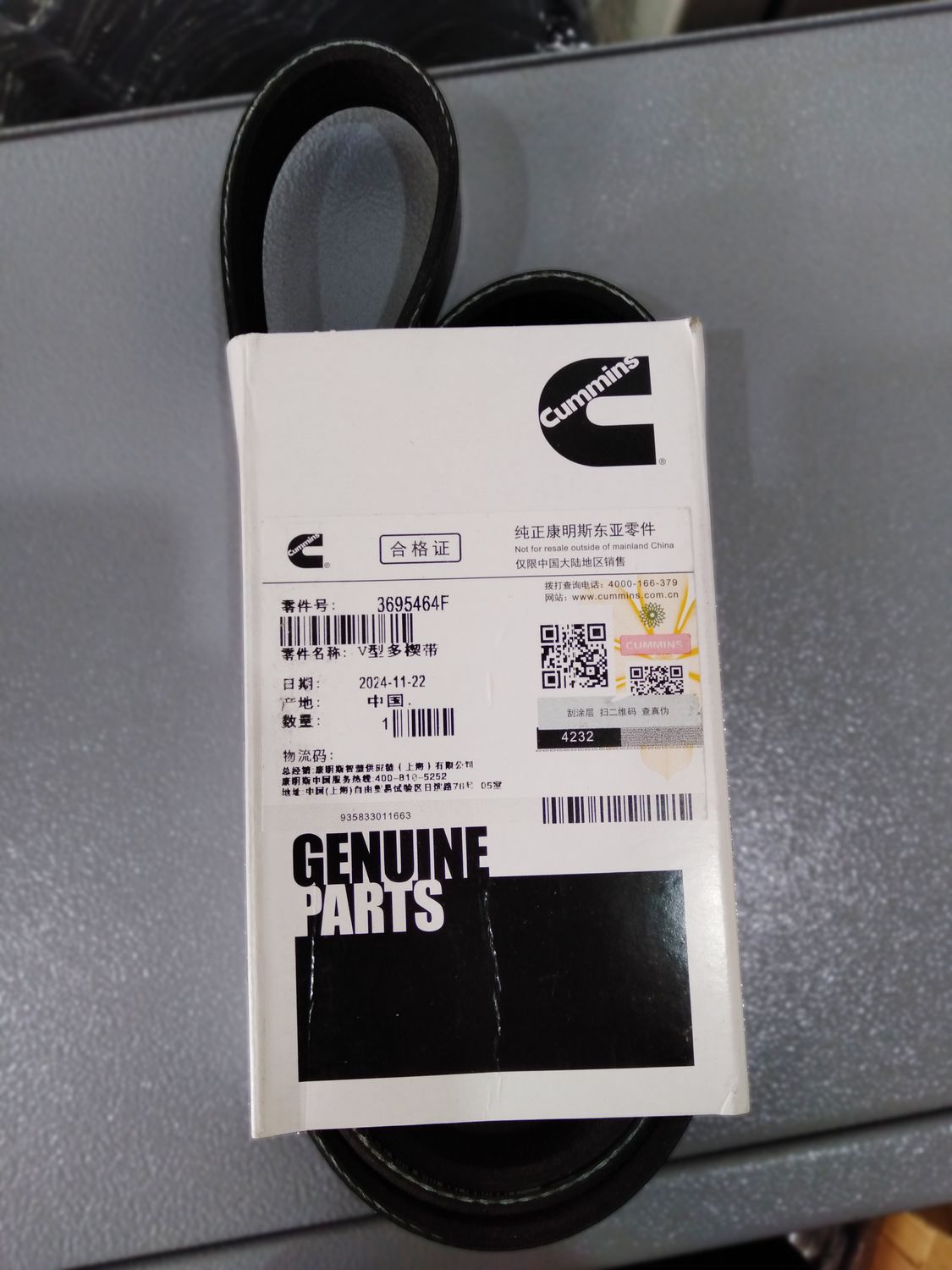 Fan Belt 3695464