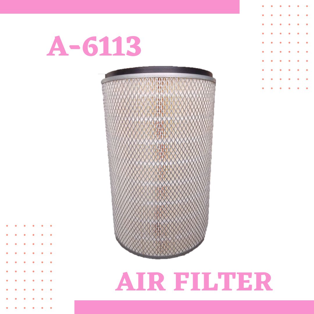 Air Filter A-6113