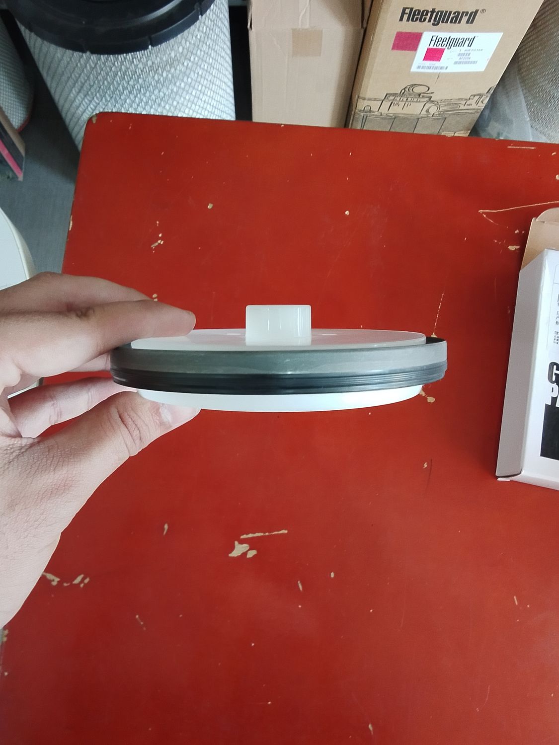 Oil Seal 3693669