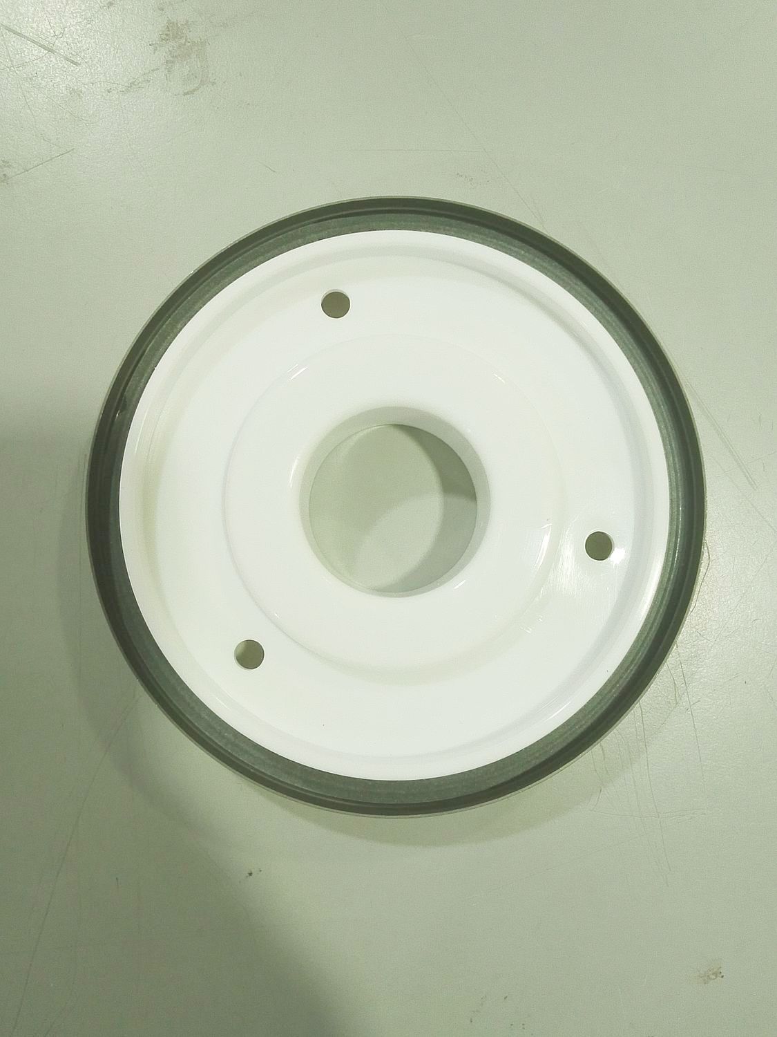 Crankshaft Oil Seal 3693459