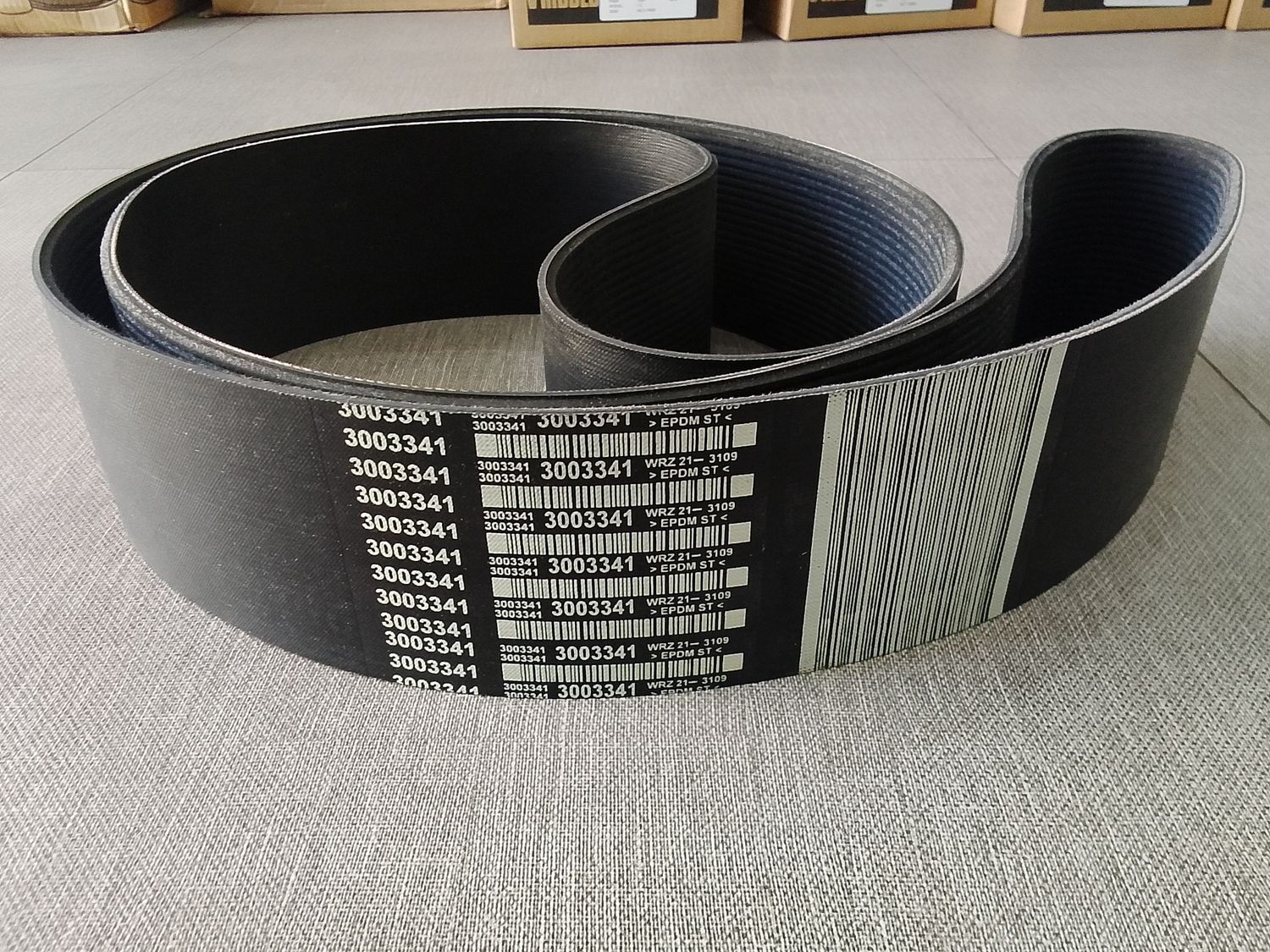Fan Belt 3003341