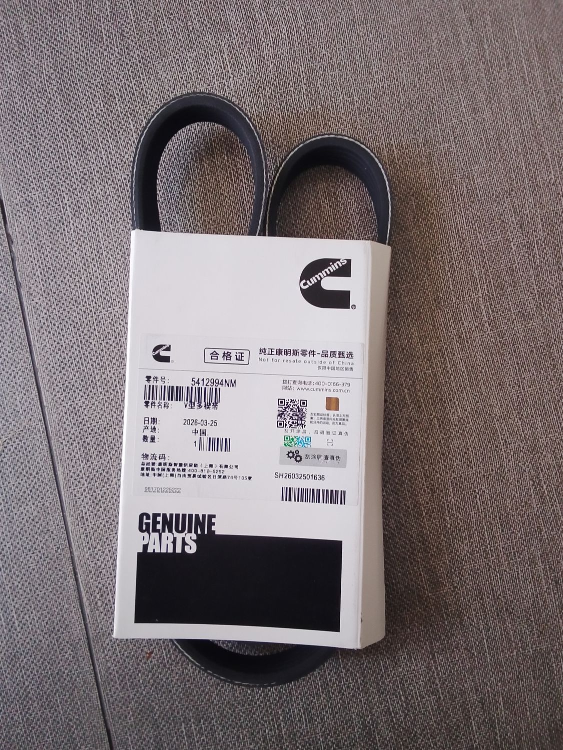 CUMMINS Fan Belt 5412994