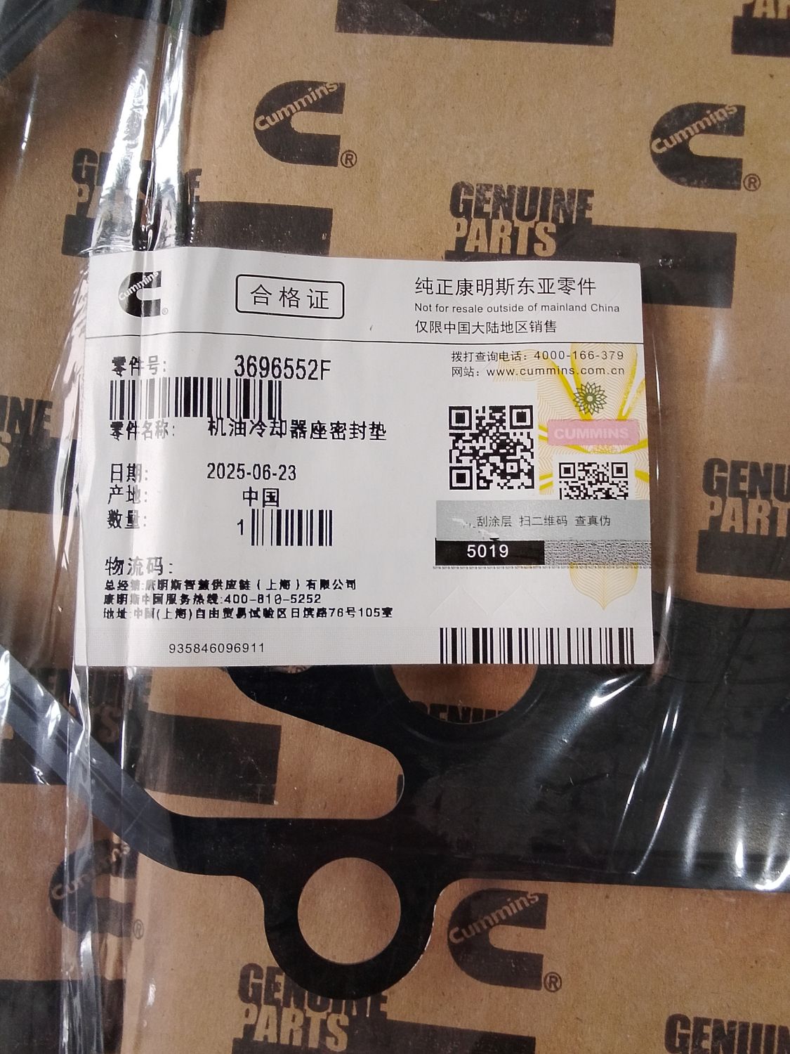 Oil Cooler Gasket 3696552