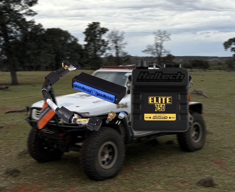 Elite 750 + Nissan Patrol TB42E/TB45E Plug 'n' Play Adaptor Harness Kit