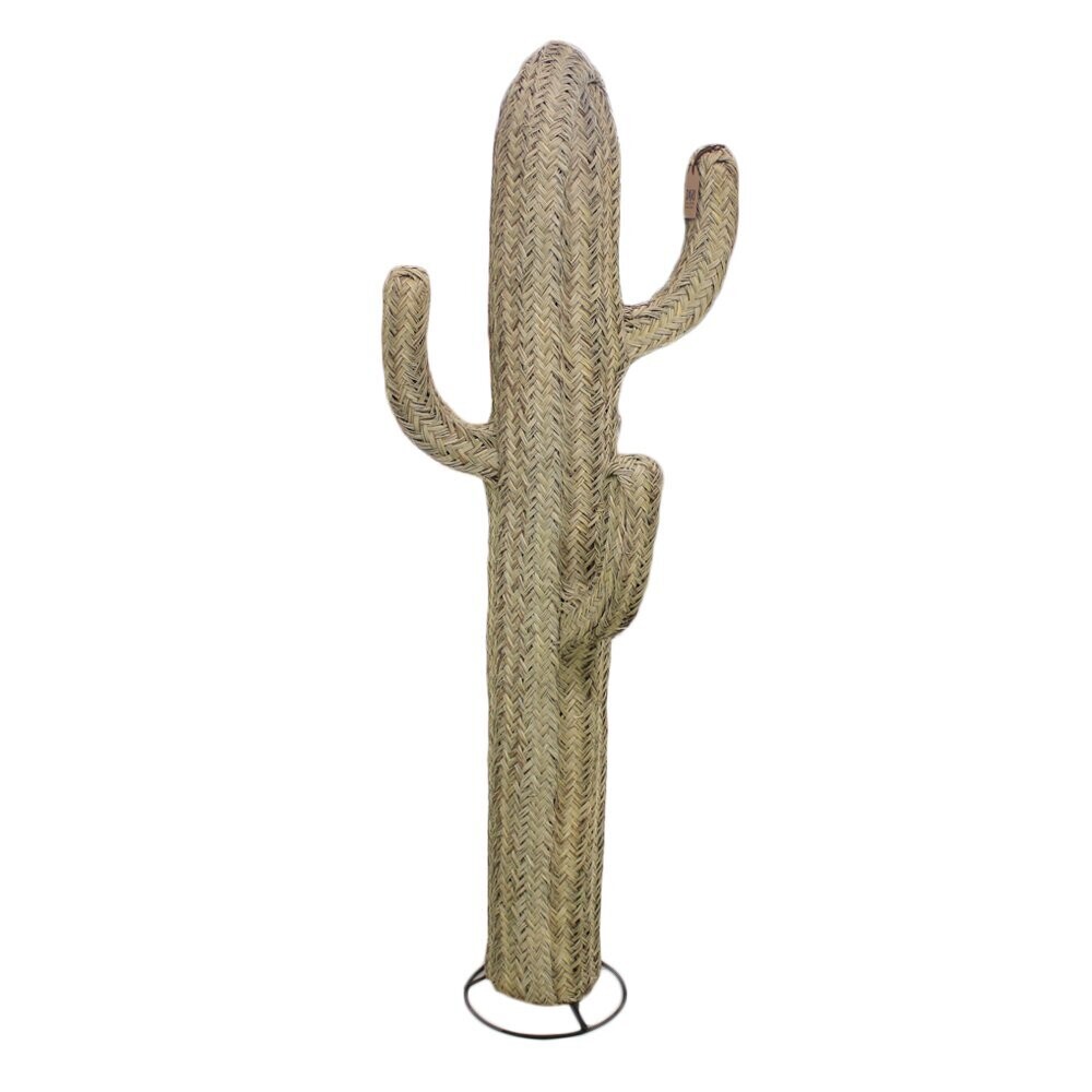 Cactus L