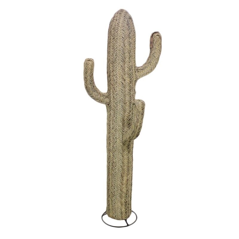 Cactus L