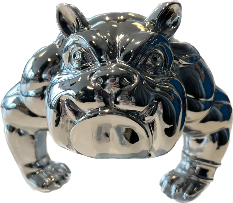 Bulldog argenté