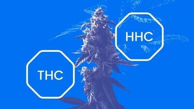 HHC-THCa