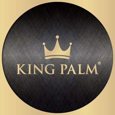 KING PALM