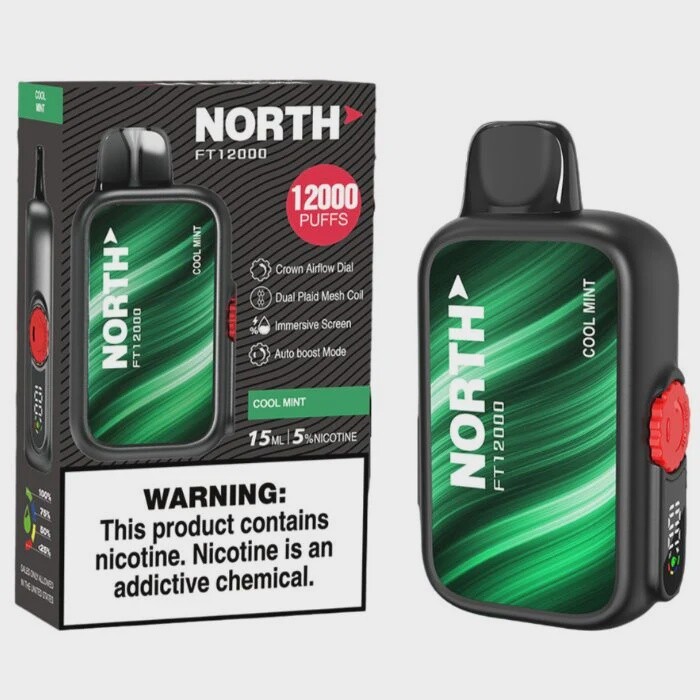 NORTH COOL MINT FT 12000 VAPE 10/CT