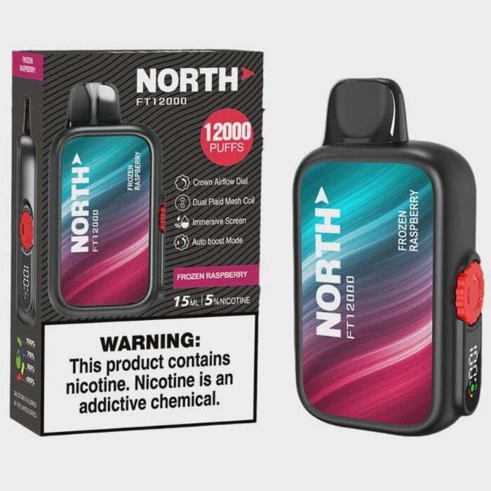 NORTH FROZEN RASPBERRY FT 12000 VAPE 10/CT