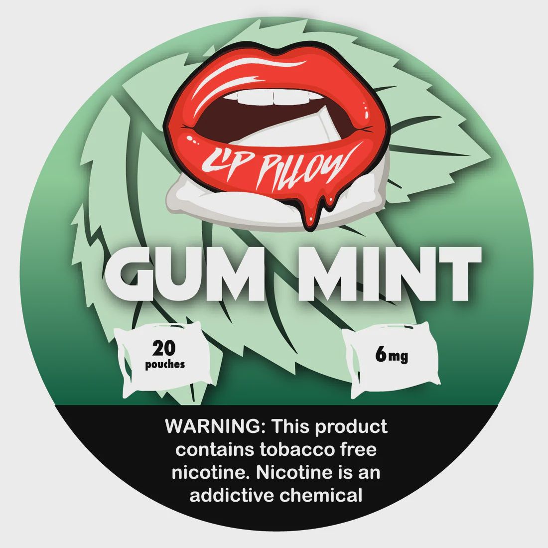 LIP PILLOW GUM MINT 20 POUCHES 6MG 5/CT
