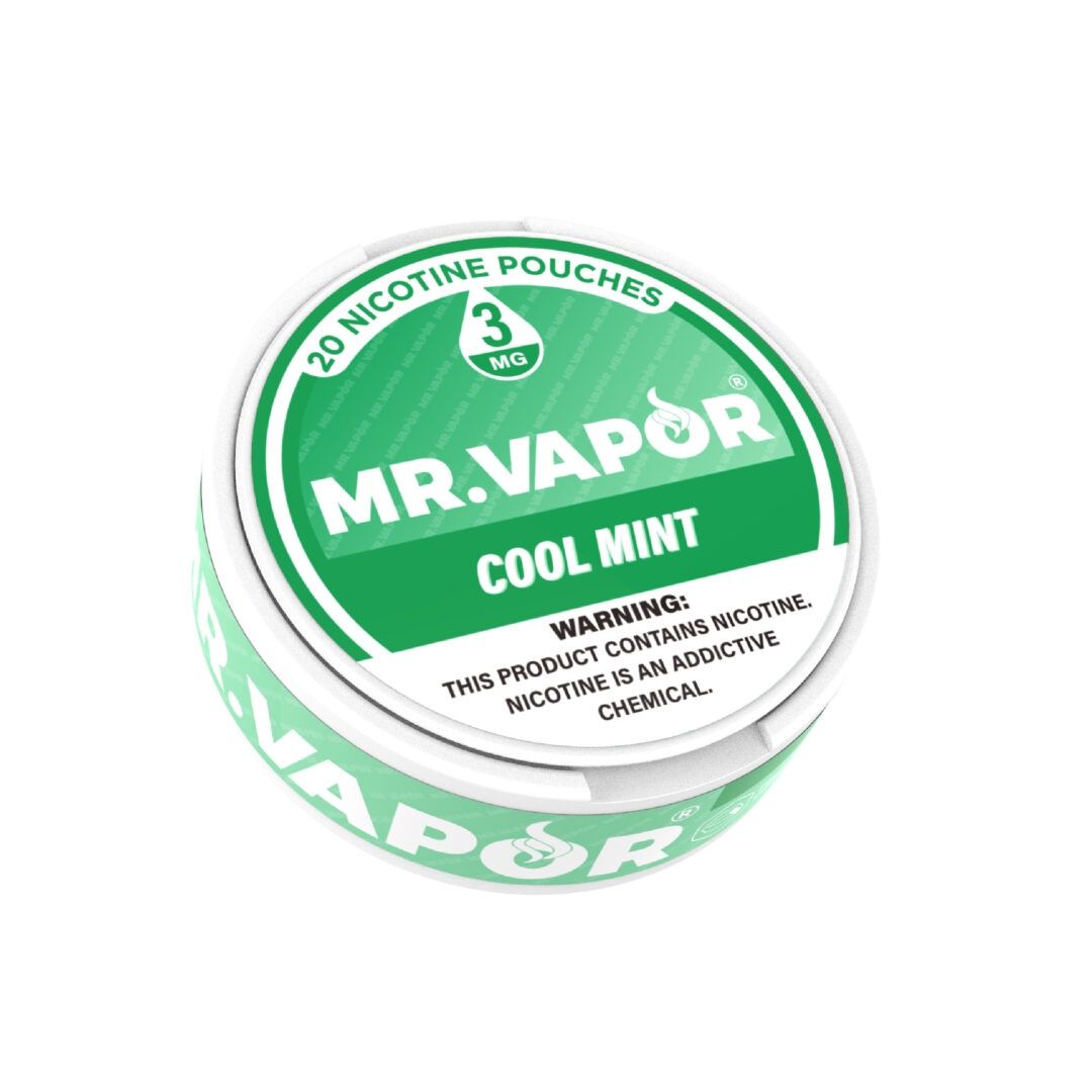 MR. VAPOR 3MG COOL MINT 20 NICOTINE POUCHES 5/CT