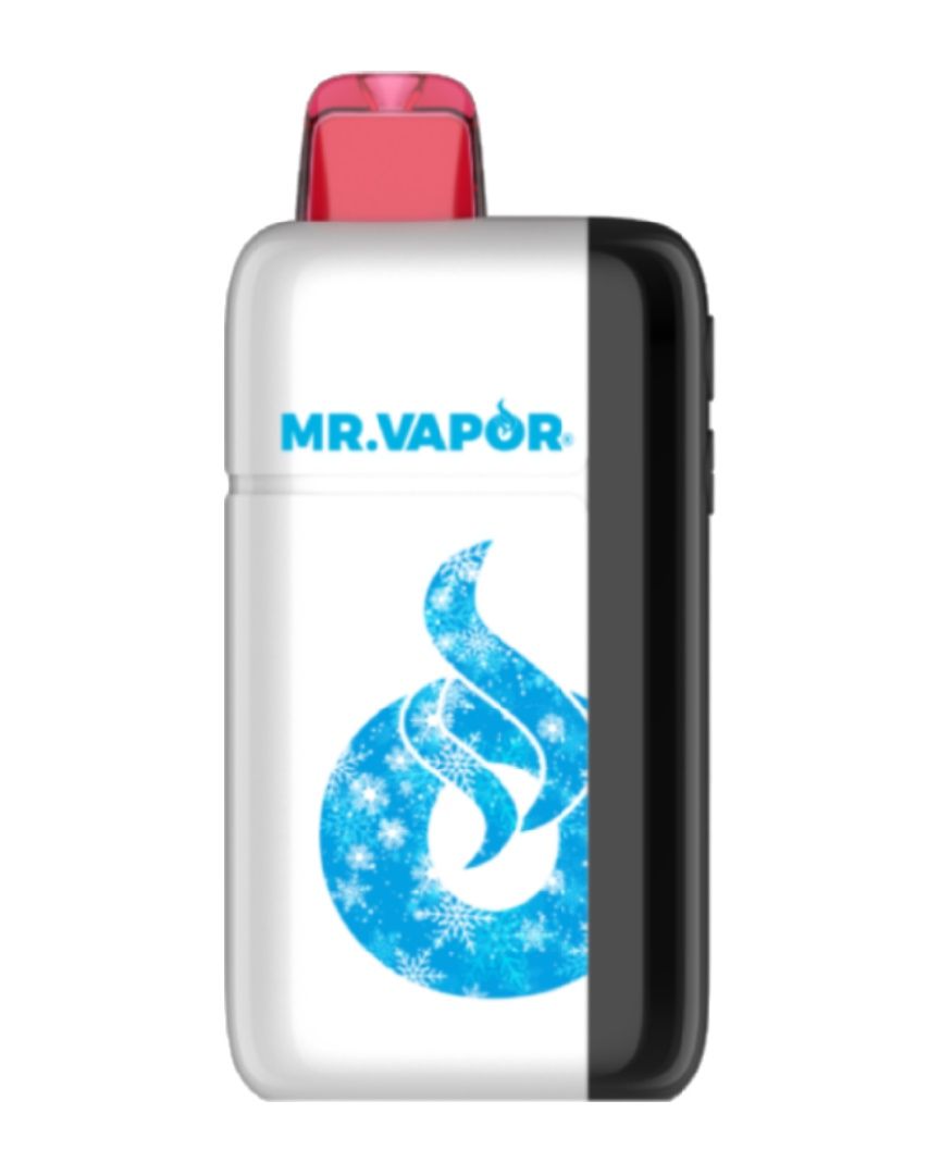 MR. VAPOR ARCTIC BOMBSICLE 5% 30K PUFF ADJUSTABLE NIC &amp; ICE LEVEL 5/CT