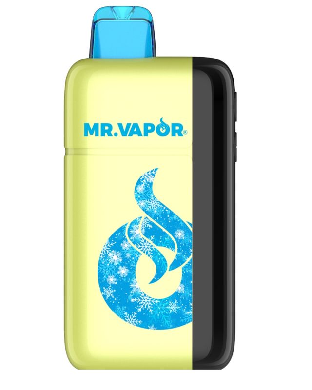 MR. VAPOR ARCTIC LEMON HEAD 5% 30K PUFF ADJUSTABLE NIC &amp; ICE LEVEL 5/CT