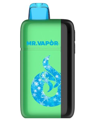 MR. VAPOR ARCTIC MINT 5% 30K PUFF ADJUSTABLE NIC &amp; ICE LEVEL 5/CT